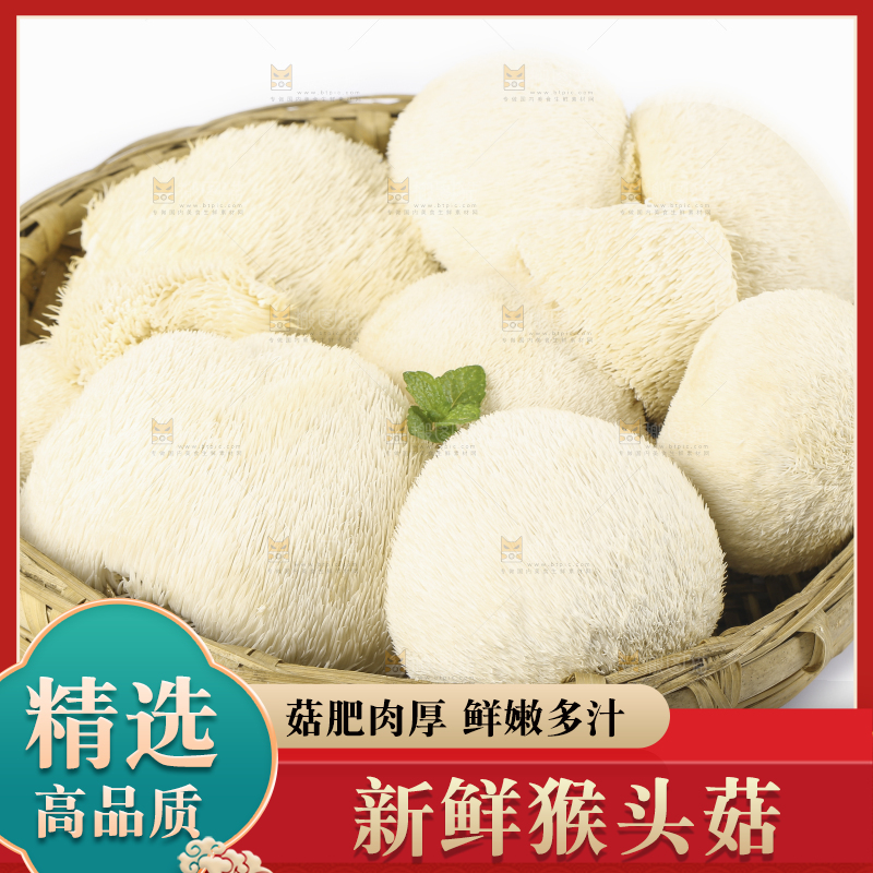 白底上的长白山猴头菇
