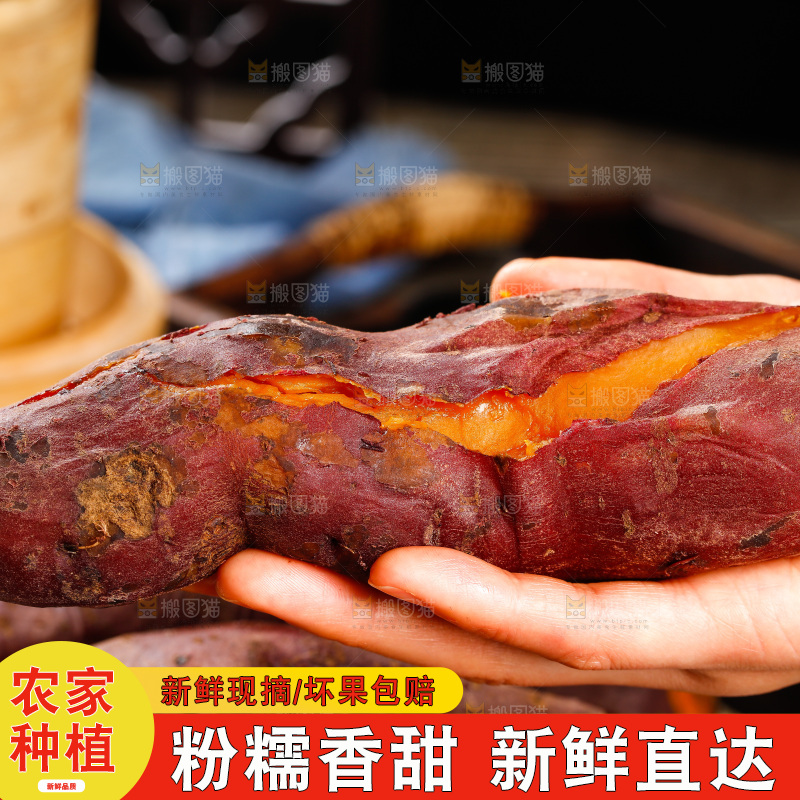 手里拿着红心地瓜