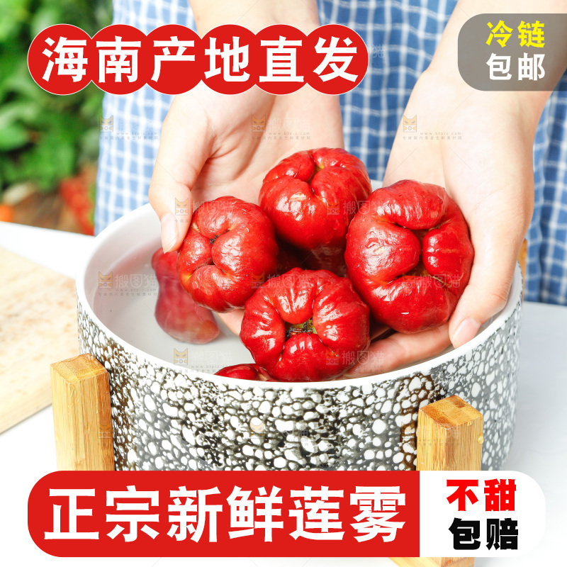 手拿新鲜黑金刚莲雾