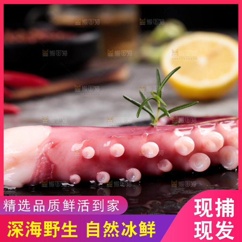 黑石板上的大鱿鱼