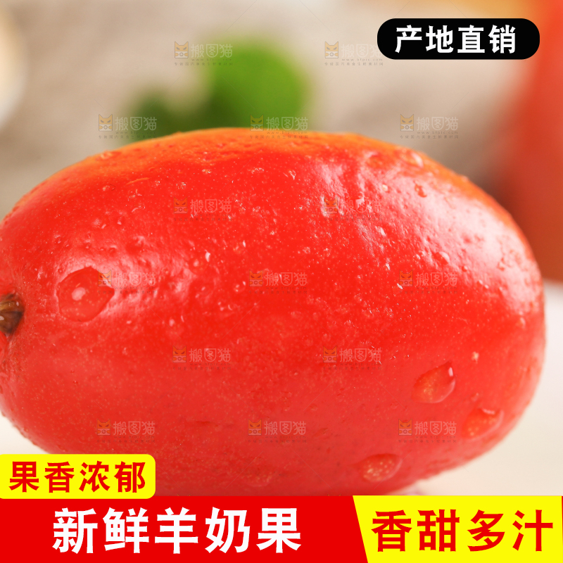 浅底上的云南新鲜羊奶果