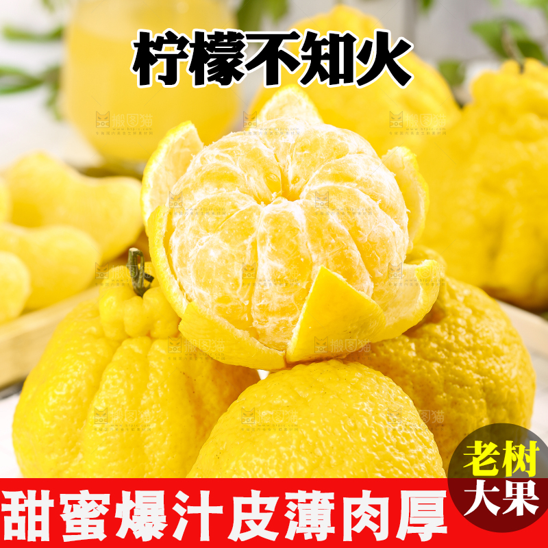 盘子里装着柠檬丑柑
