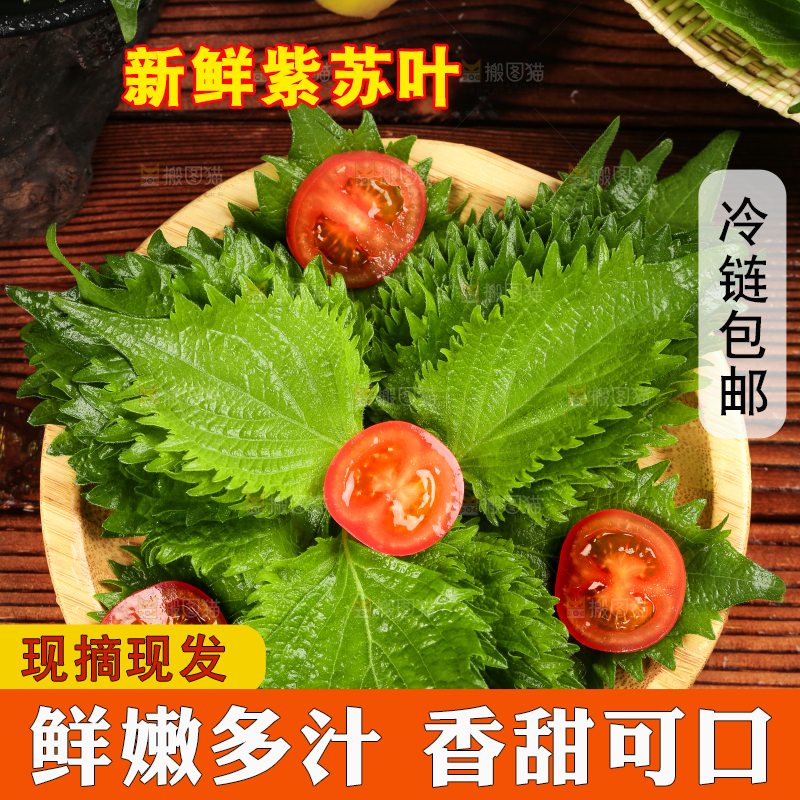 木底上的新鲜紫苏叶