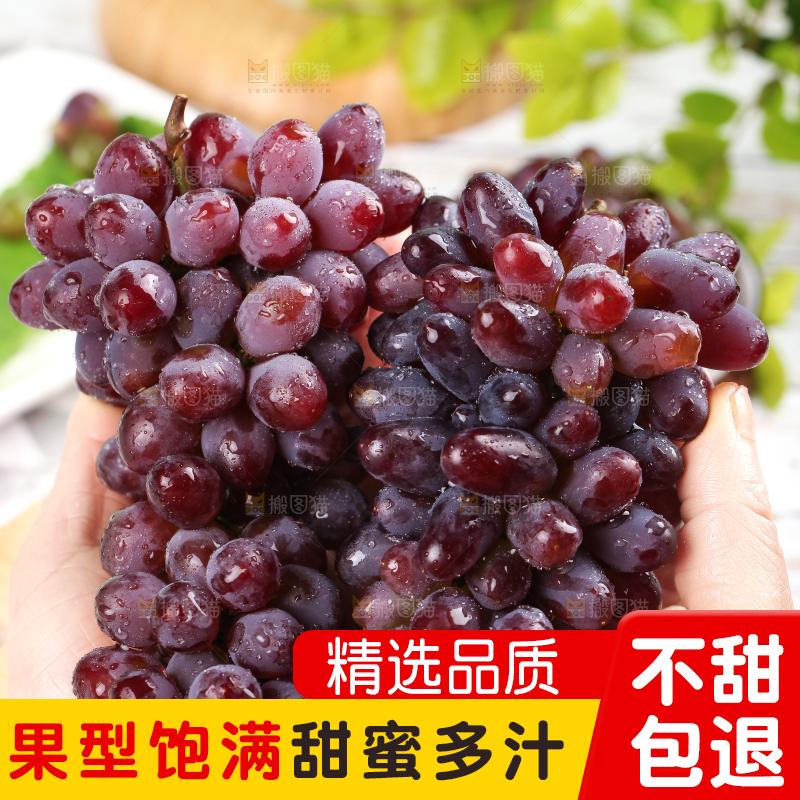手里拿着茉莉香葡萄