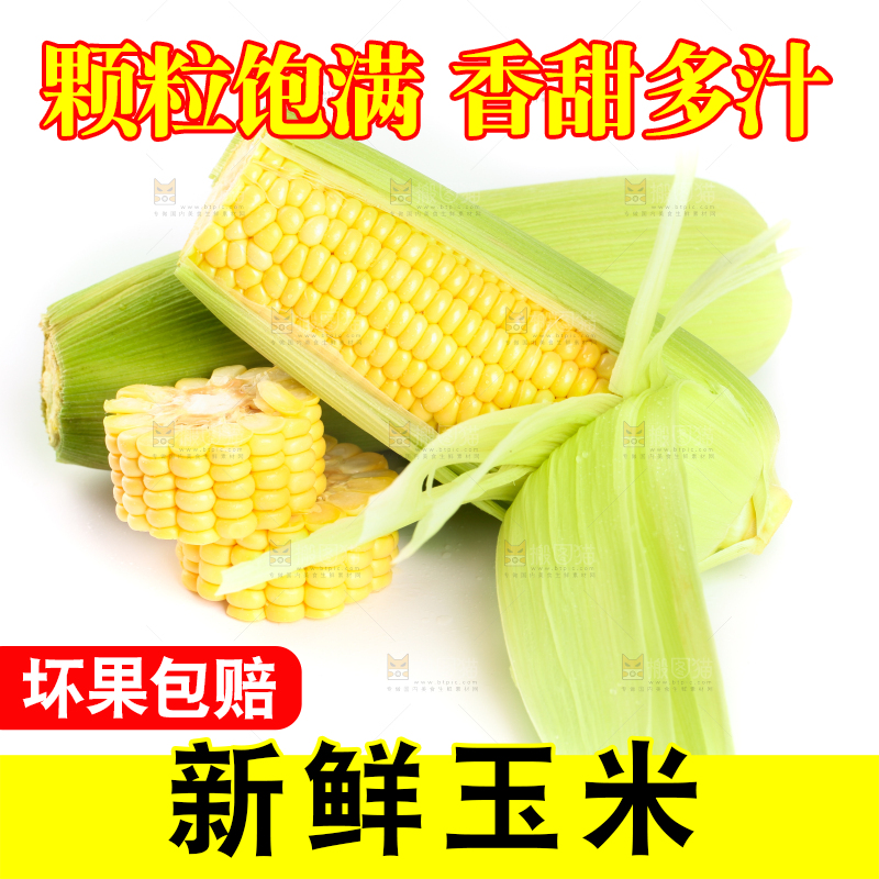 白底上放着黄玉米