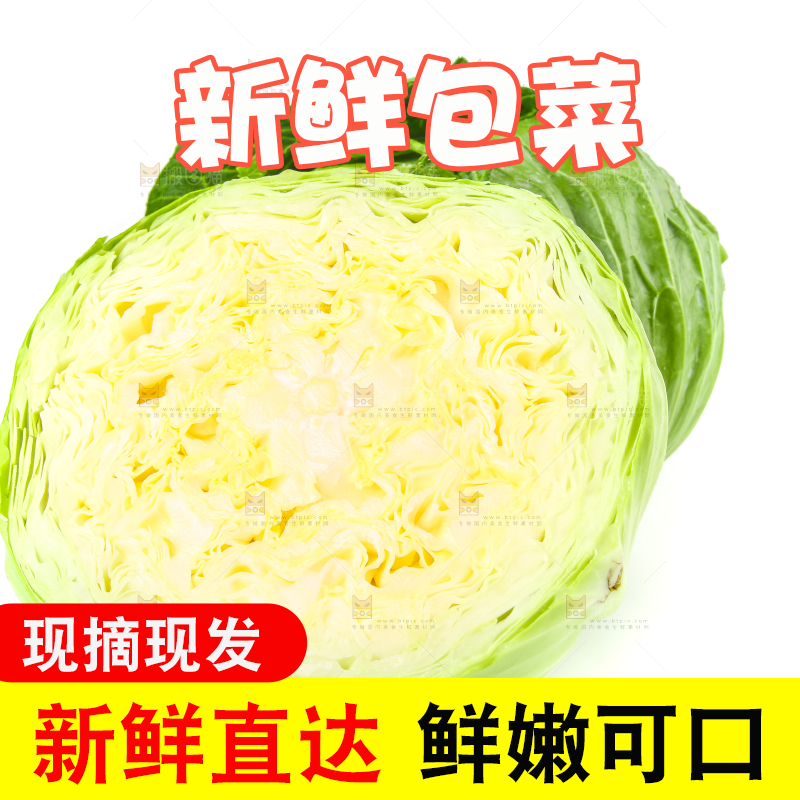 切开的包菜放在白底上