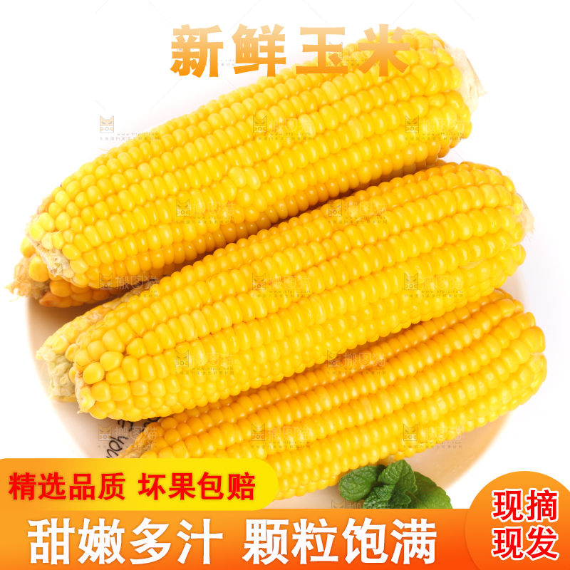 白底上放着黄玉米