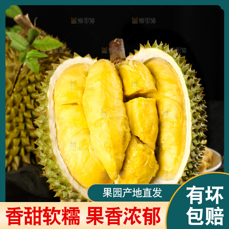黑底上的进口甲仑榴莲