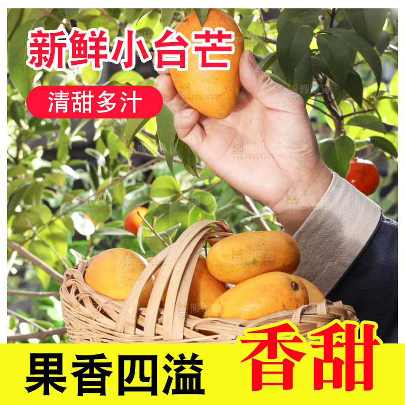 手拿一篮小台芒