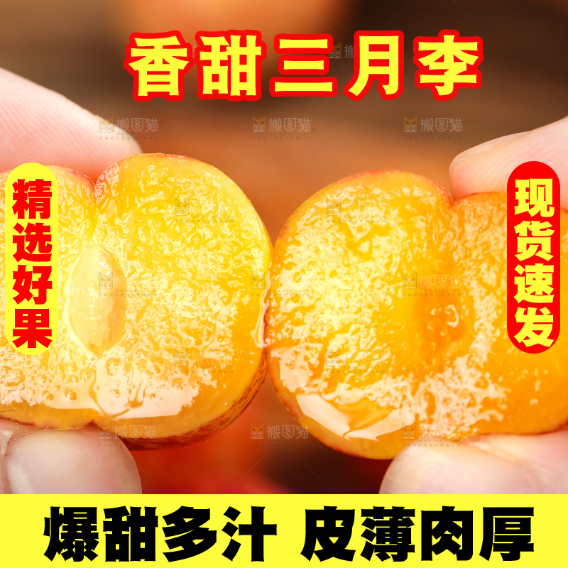 手里拿着新鲜李子
