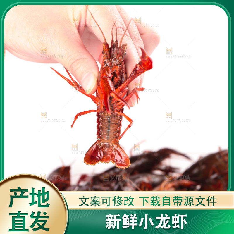手里拿着清水虾