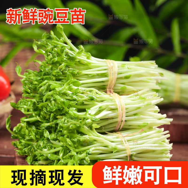 木板上放着豌豆芽