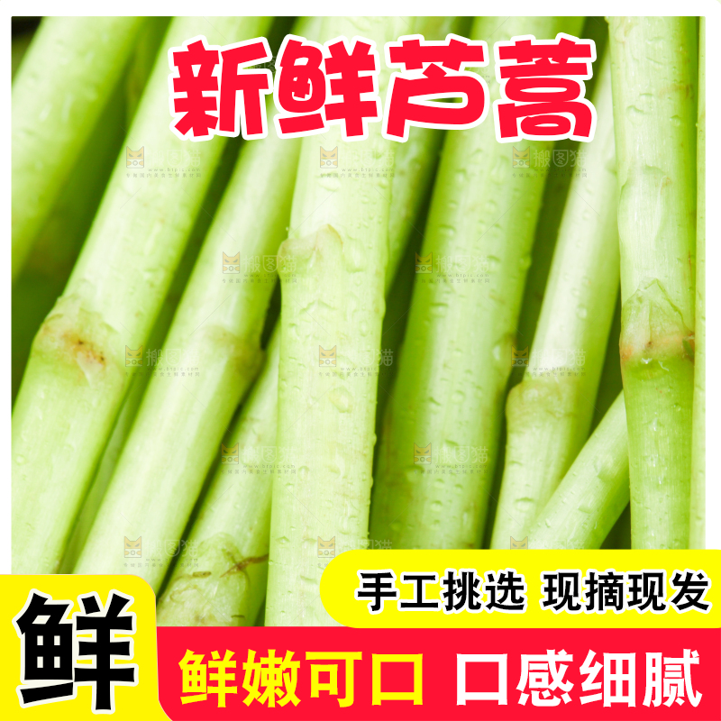 木底上的江西藜蒿