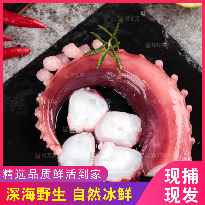 黑石板上的大鱿鱼