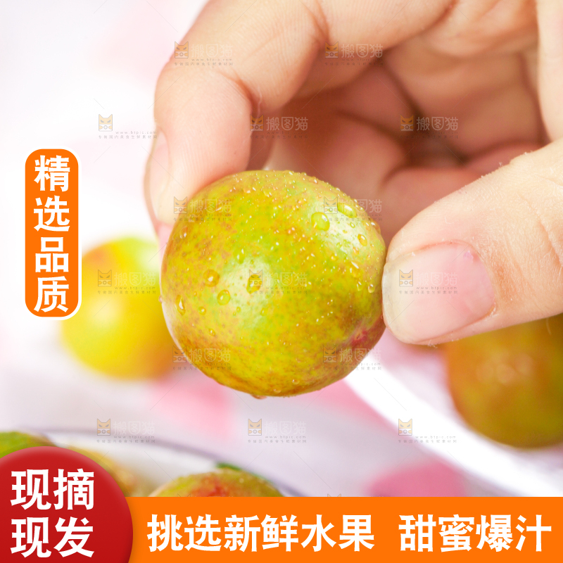碗里装着钱排三月李