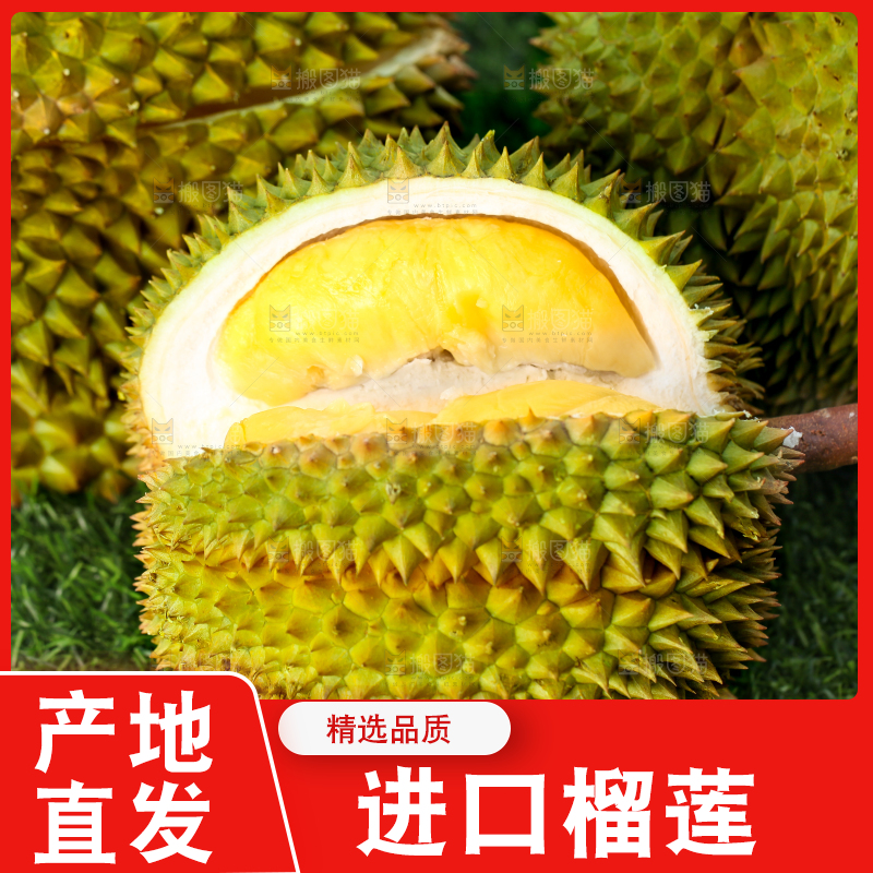 草地上摆放着甲仑榴莲