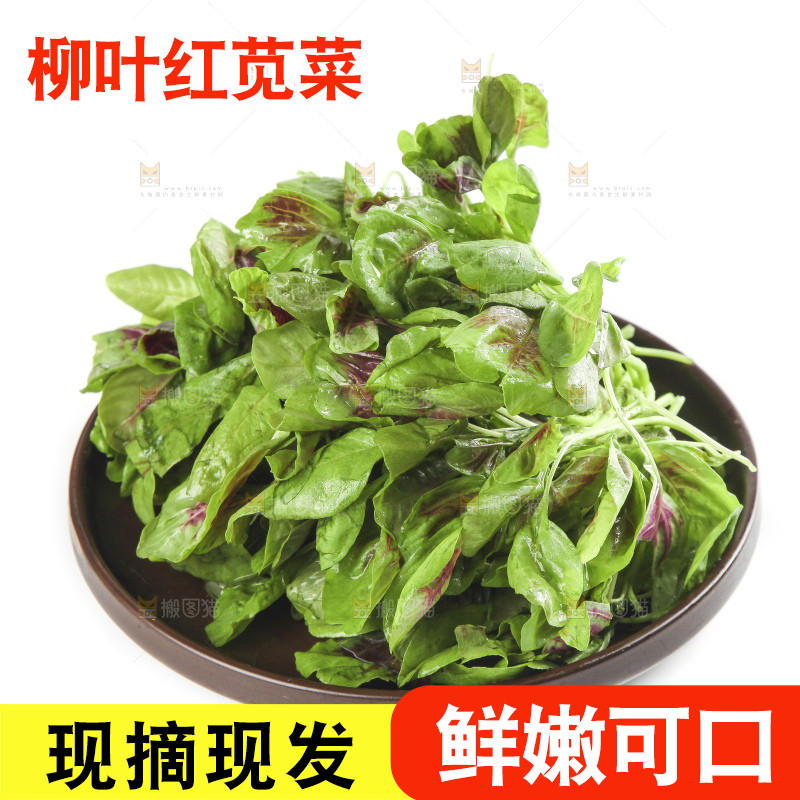 白底上放着一盘红苋菜