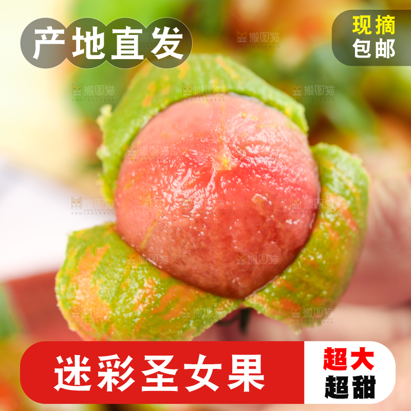 手拿剥皮的迷彩圣女果
