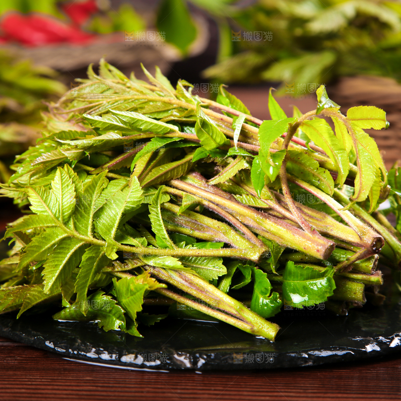 黑石板上的山东香椿芽