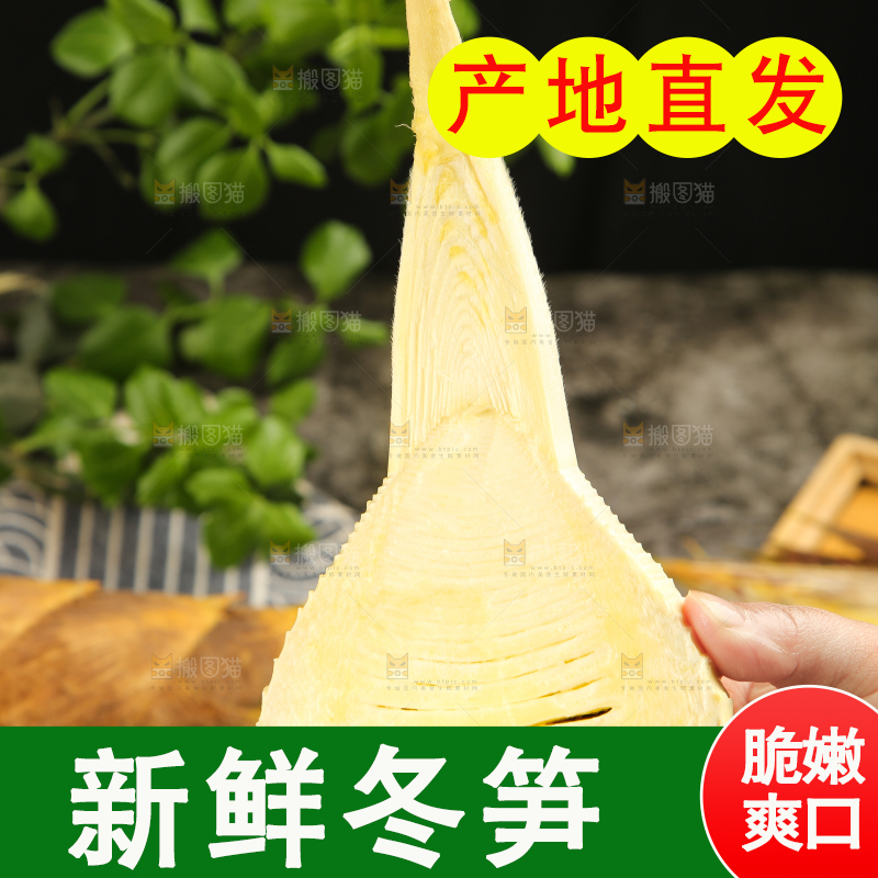 手拿切开的竹笋