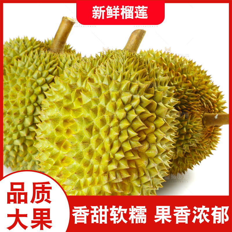 白底上的新鲜榴莲