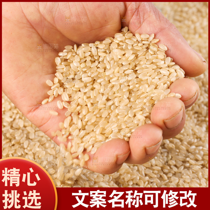手拿糙米