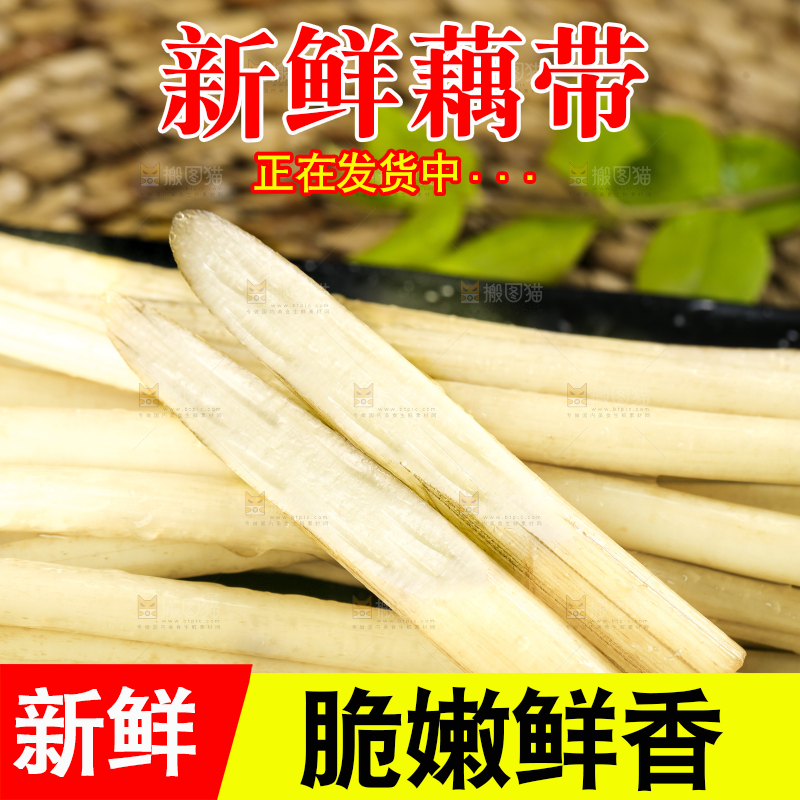 手里拿着藕苗