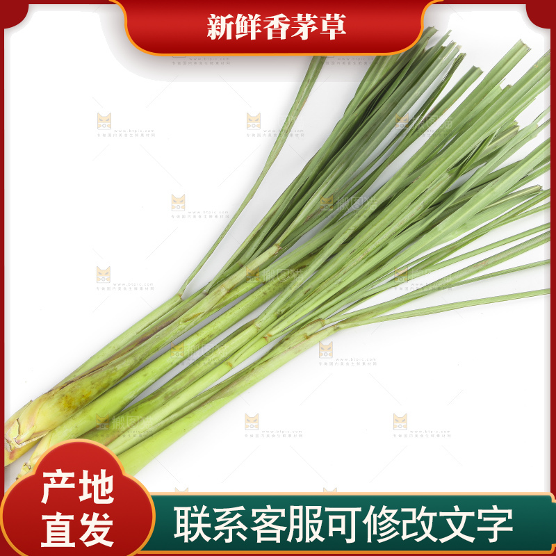 白底上的越南柠檬草