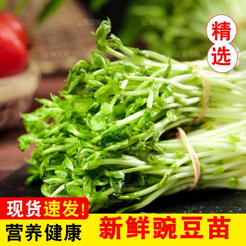 黑石板上的豌豆芽苗菜