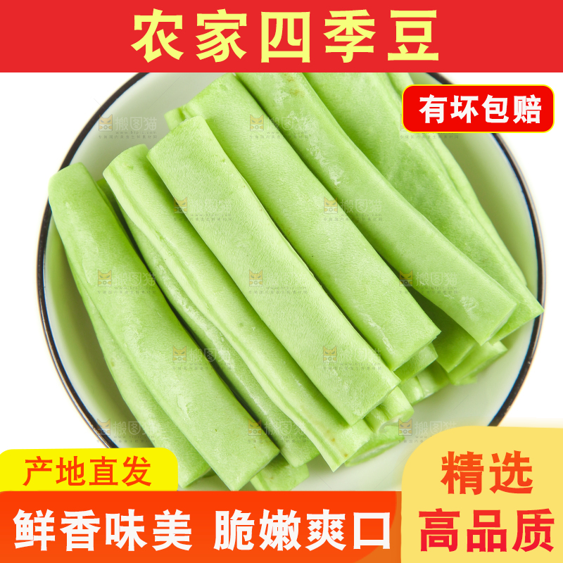 白底上的新鲜四季豆