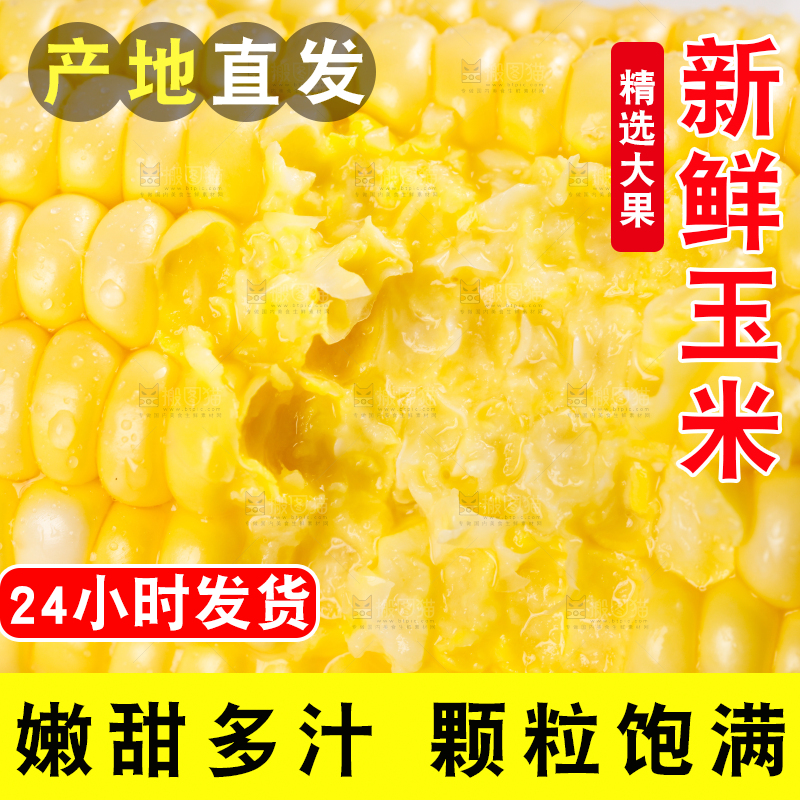 浅底上的黄玉米