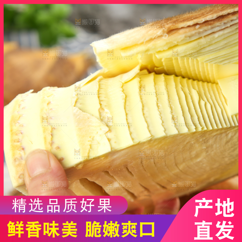 手拿切开的临安冬笋
