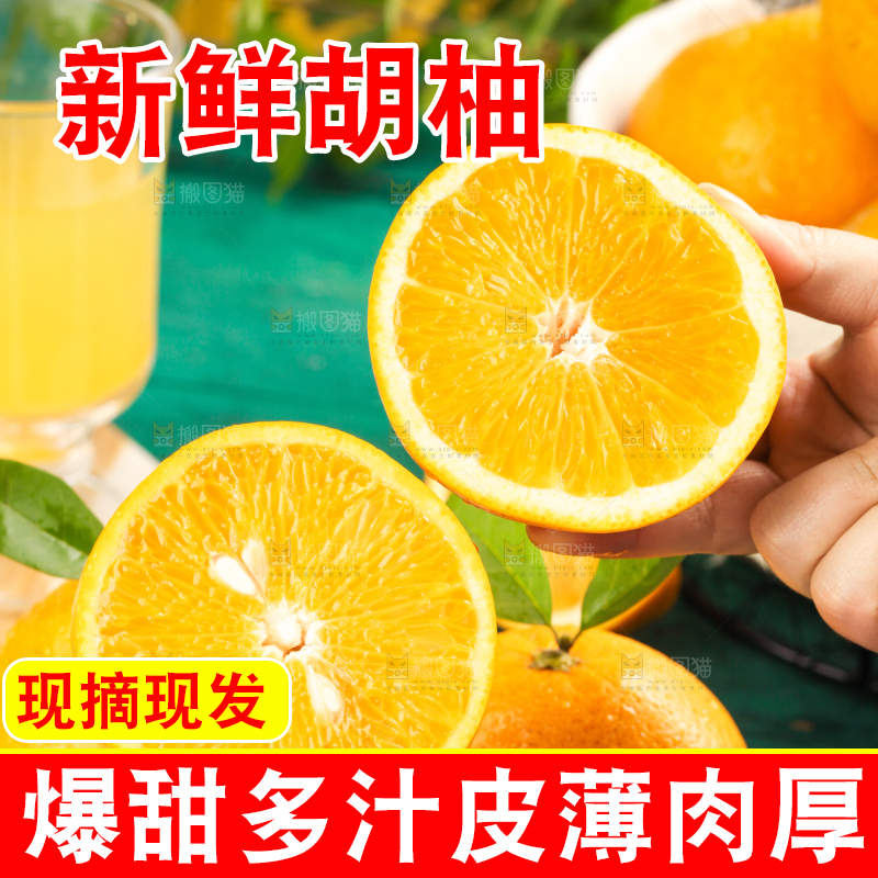 手里拿着新鲜胡柚