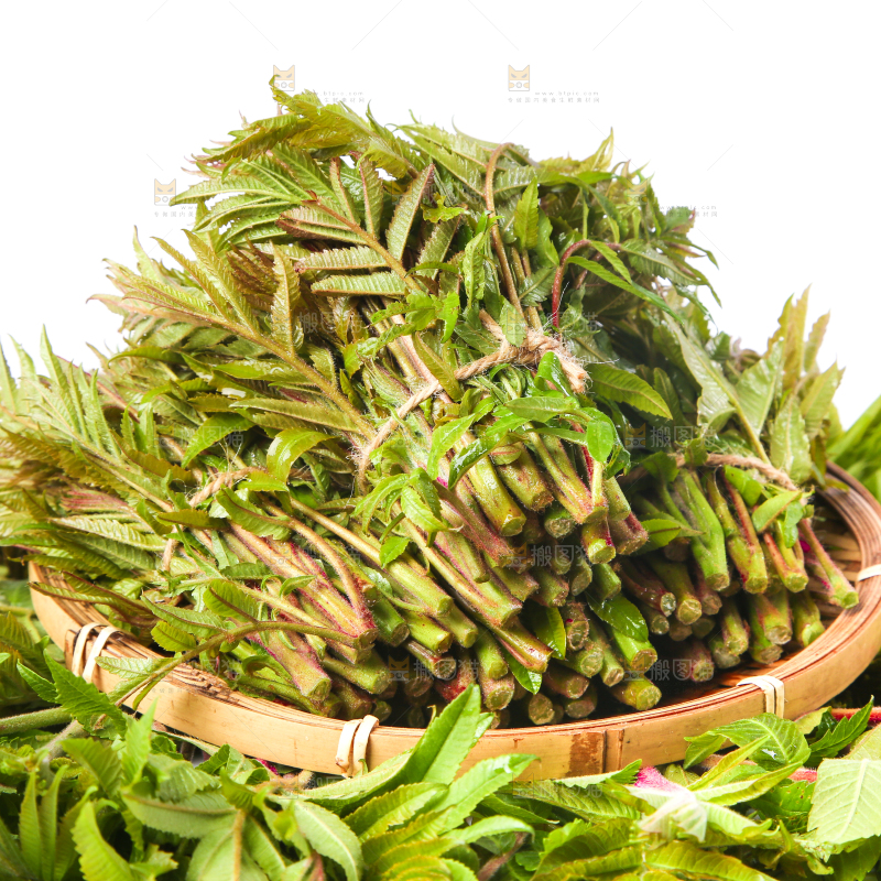 浅底上放着沂蒙山香椿芽