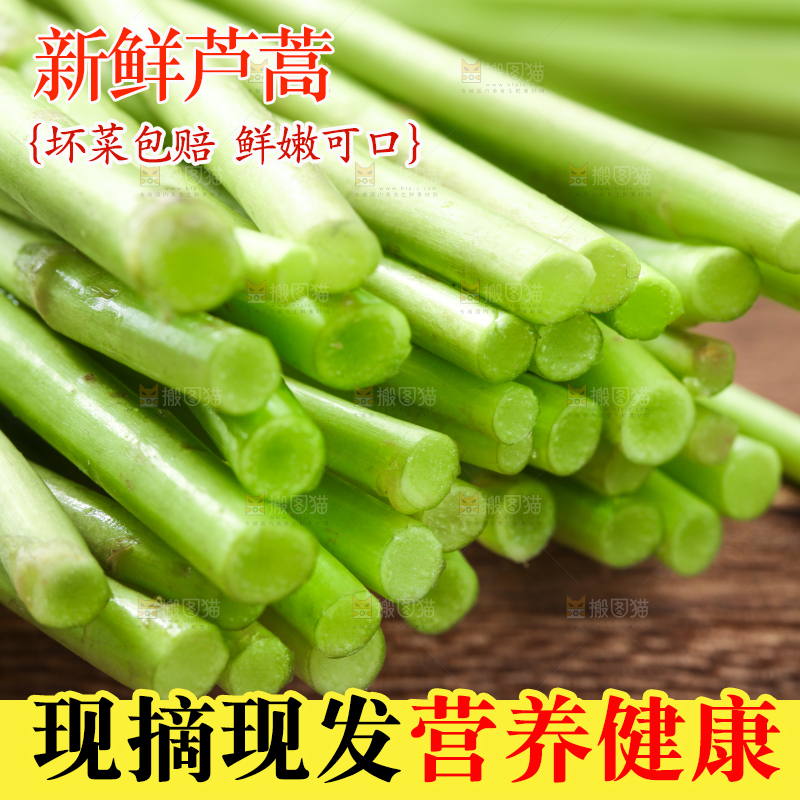 木底上的江西藜蒿