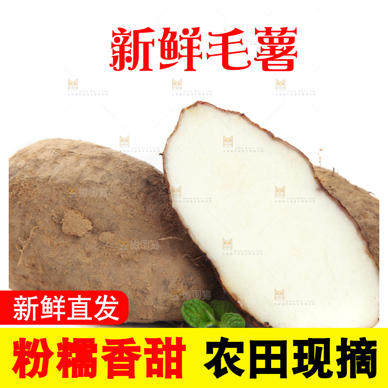 白底上切开的湛江毛薯