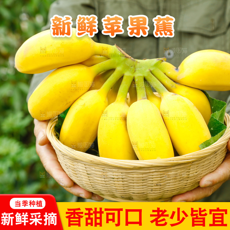 手拿一筐广西苹果蕉