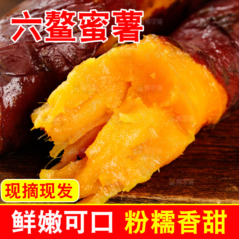 深底上的福建六鳌蜜薯