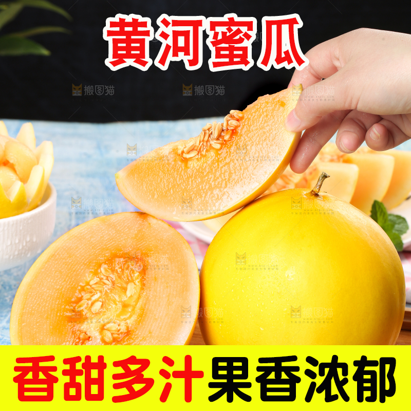 手拿切开的黄河蜜瓜
