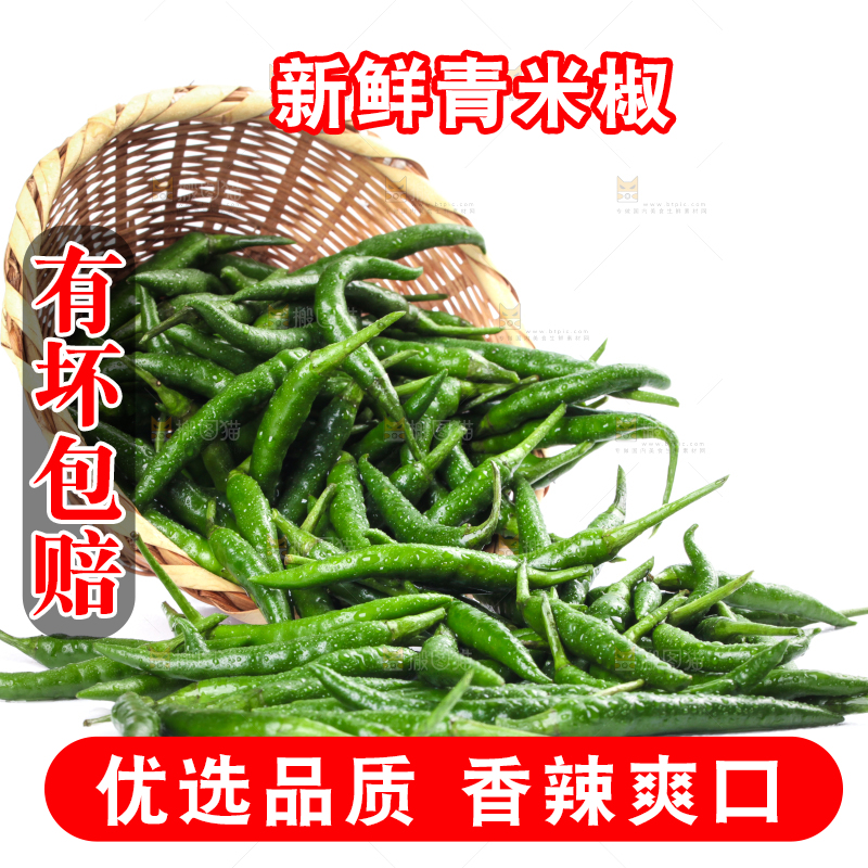 白底上的青小米辣