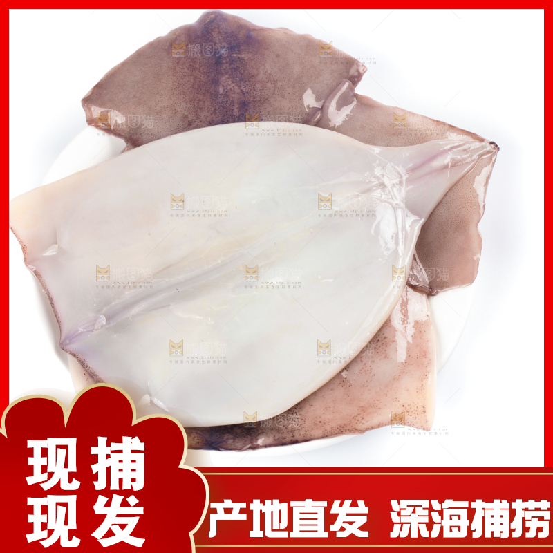 白底上放着大鱿鱼