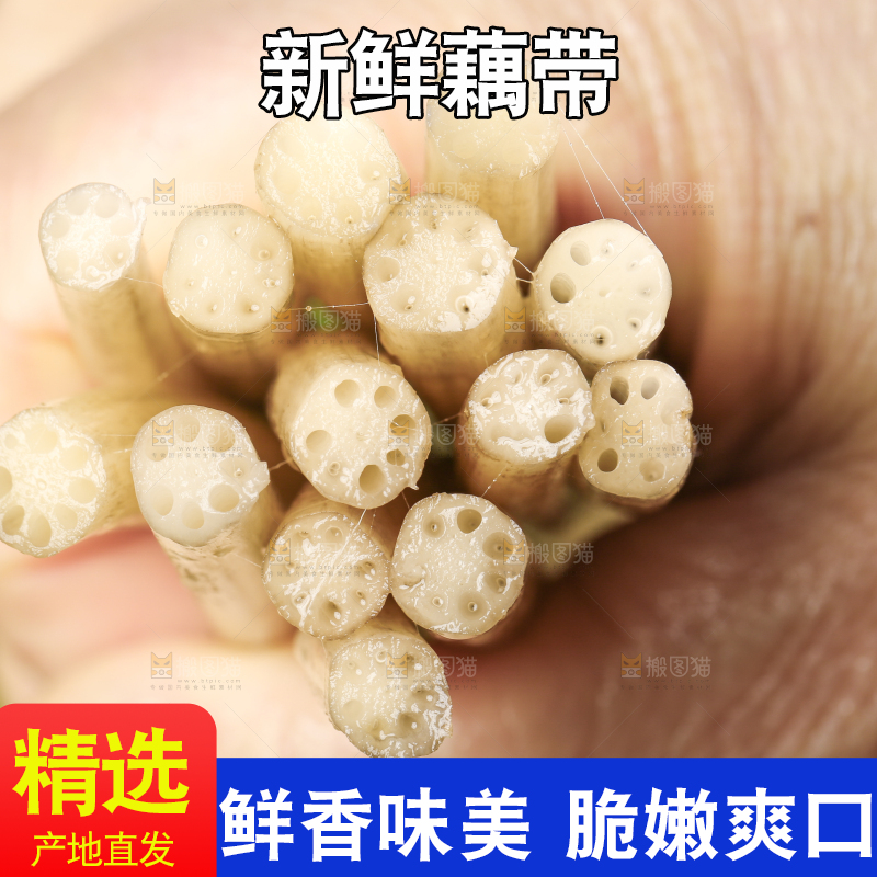 手里拿着新鲜藕带
