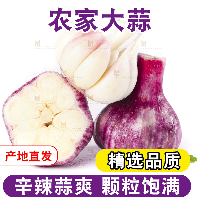 白底上放着紫皮大蒜