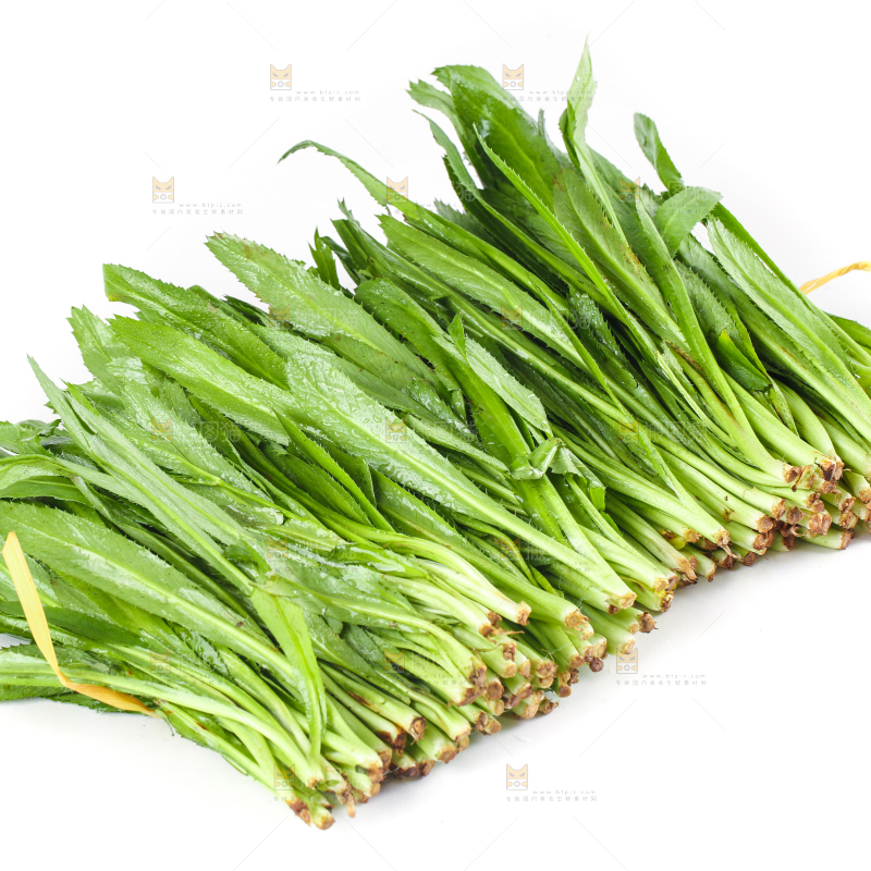 白底上的云南大香菜