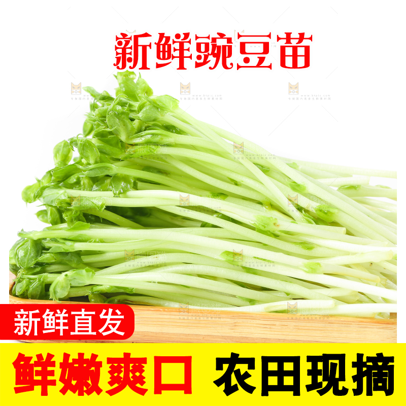 白底上放着豌豆芽菜