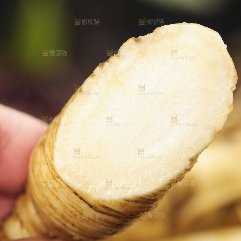 手拿切开的人参