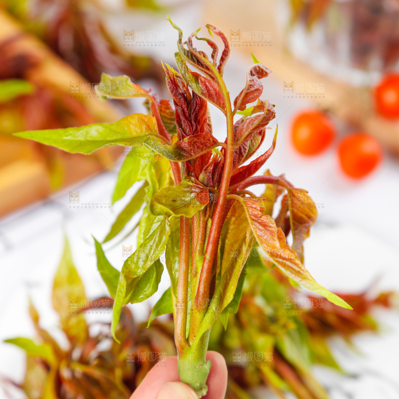 手拿香椿芽
