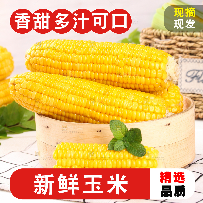 白格子底上放着黄玉米