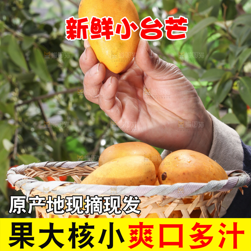 手拿一筐广西小台芒