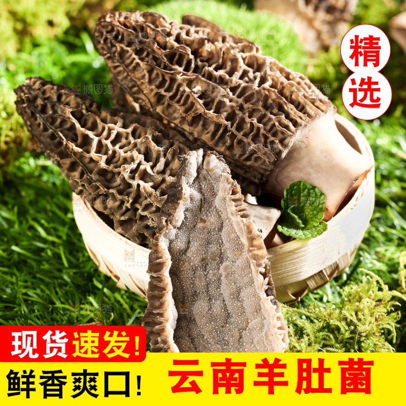 草地上的羊菌肚